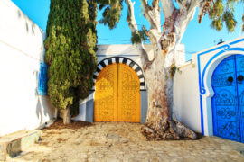 tunisia vacanze